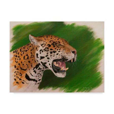 Luis Aguirre 'Power Leopard' Canvas Art,18x24